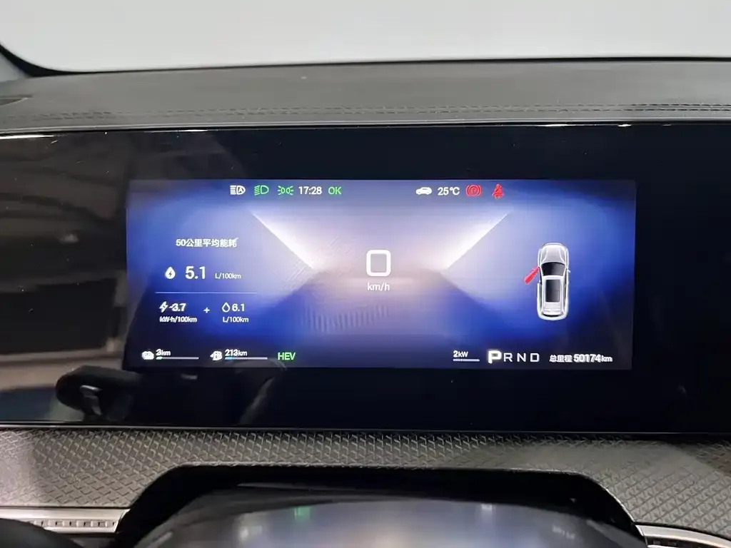 BYD Pro New Energy — фото 4