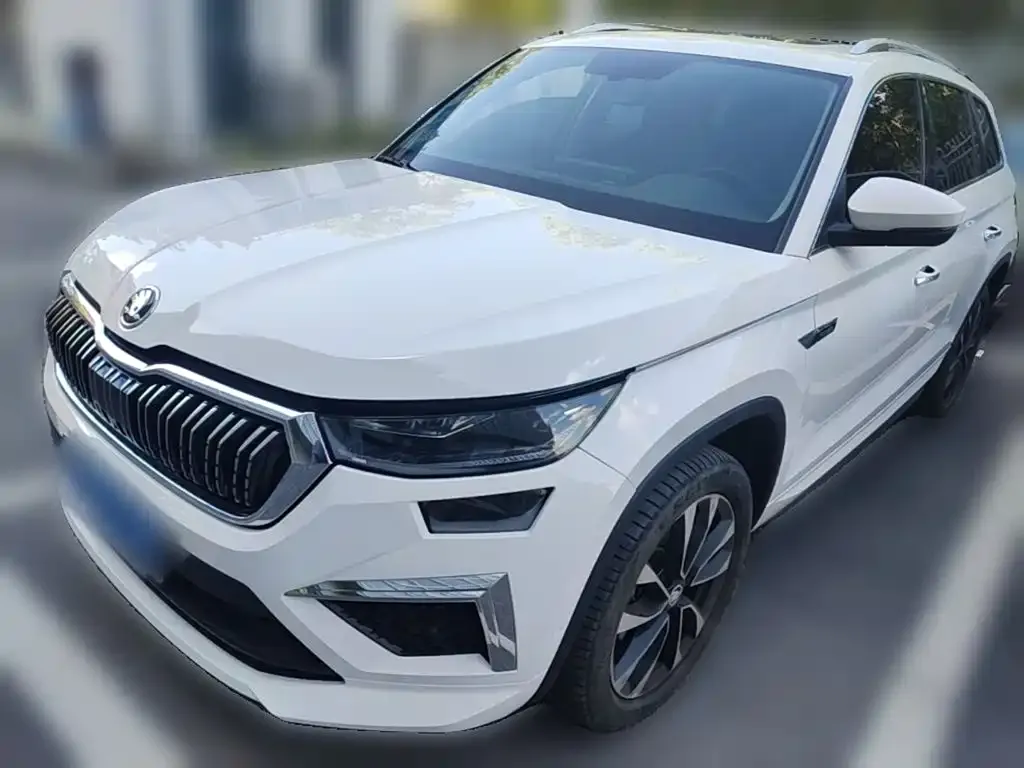 Skoda Kodiaq — фото 9