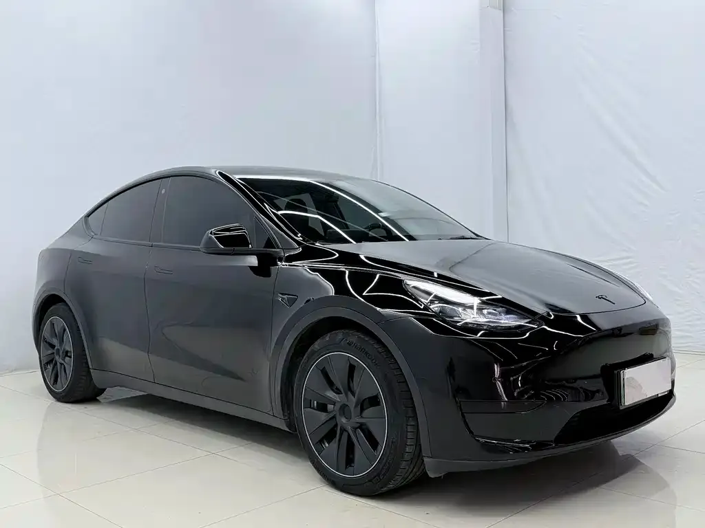 Tesla Model Y — фото 5