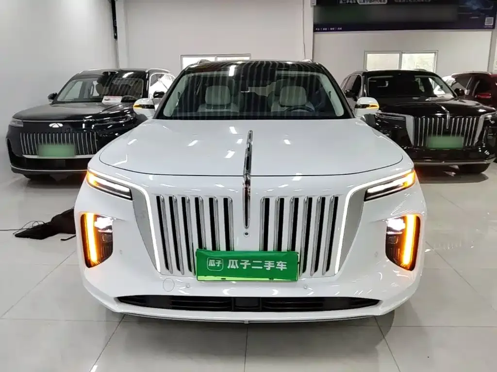 Hongqi E-HS9 — фото 6
