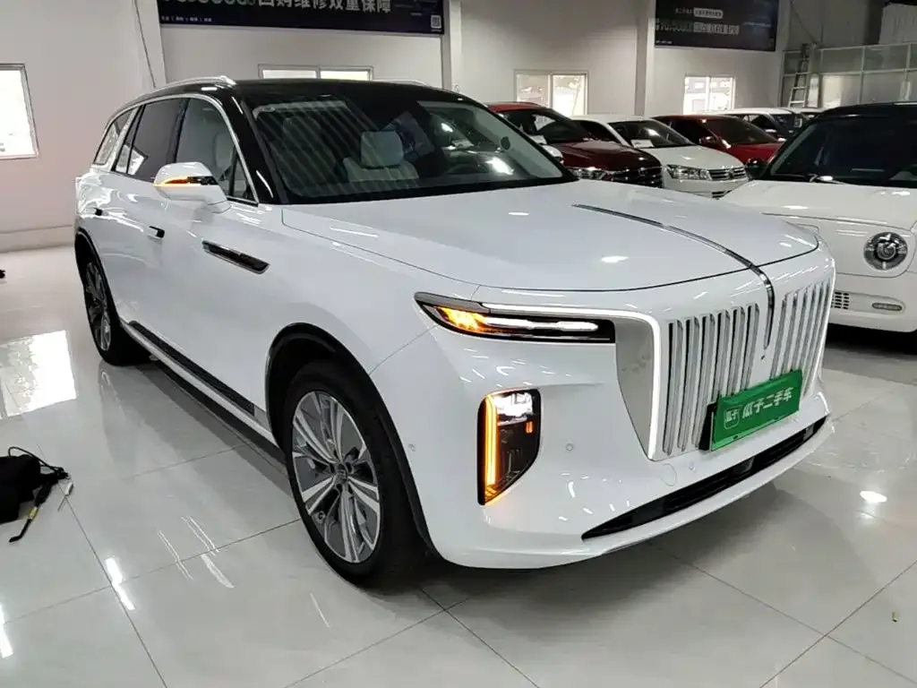 Hongqi E-HS9 — фото 5