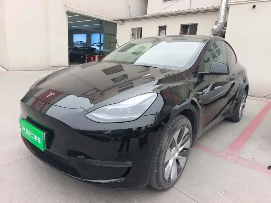 Tesla Model Y — фото 6