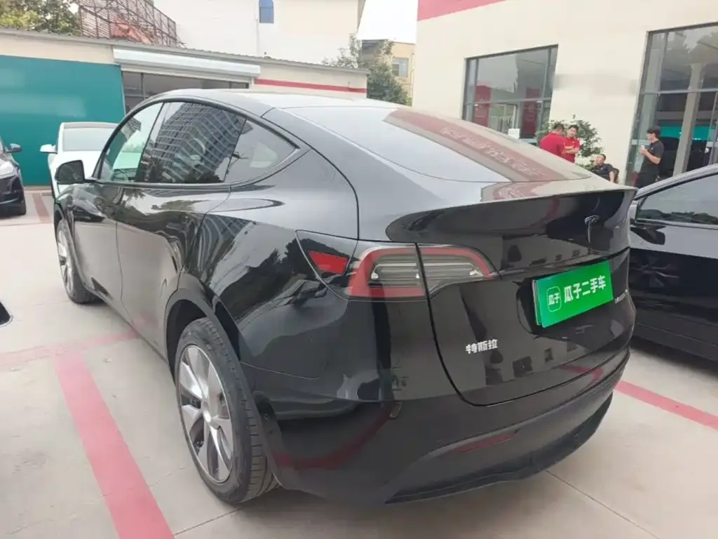 Tesla Model Y — фото 9