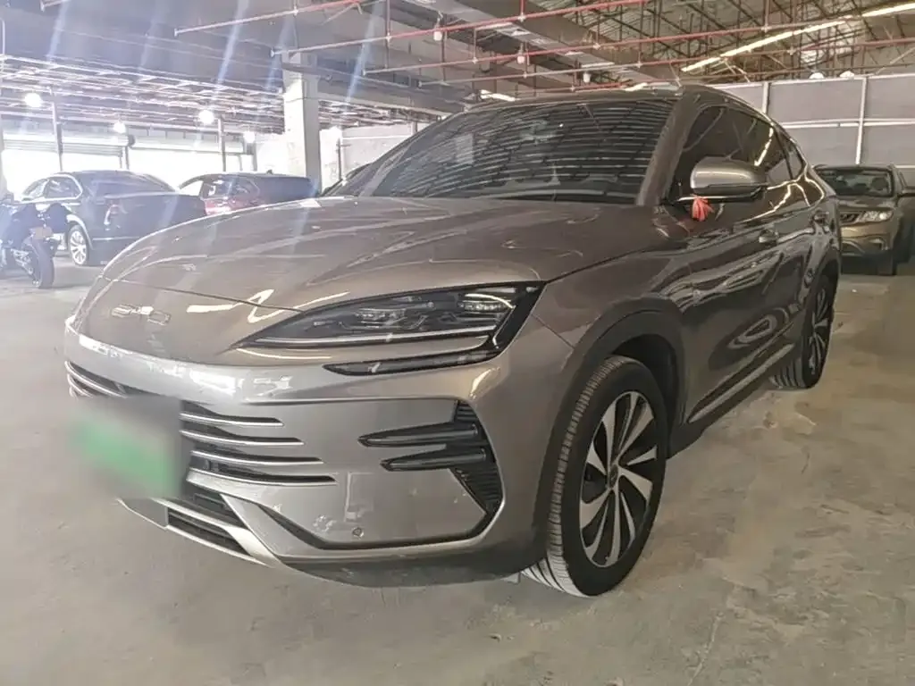 BYD PLUS New Energy — фото 10