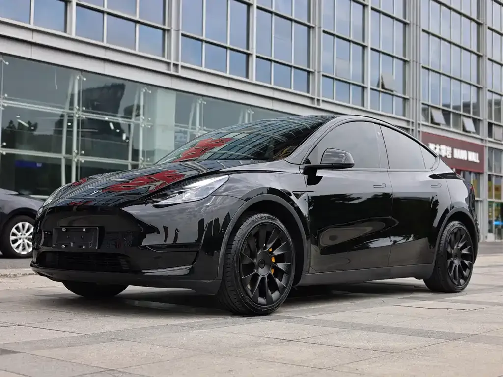 Tesla Model Y — фото 1