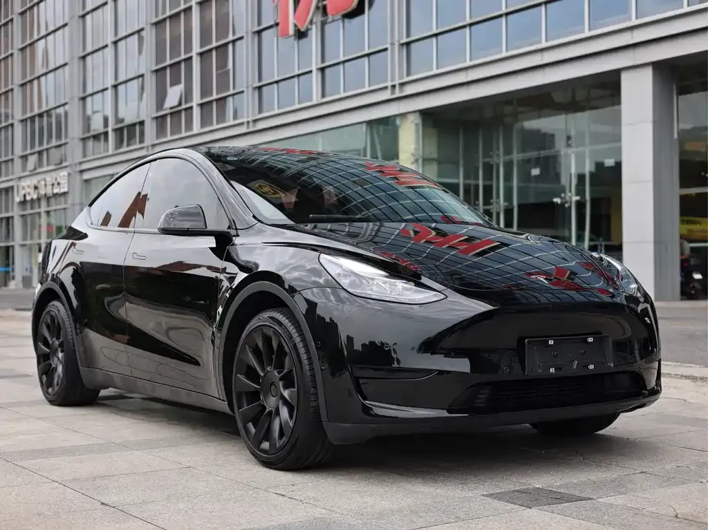 Tesla Model Y — фото 2