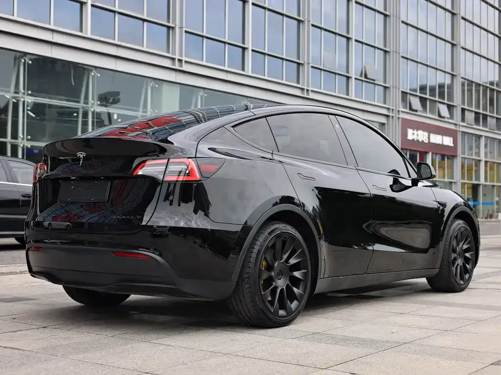 Tesla Model Y — фото 3