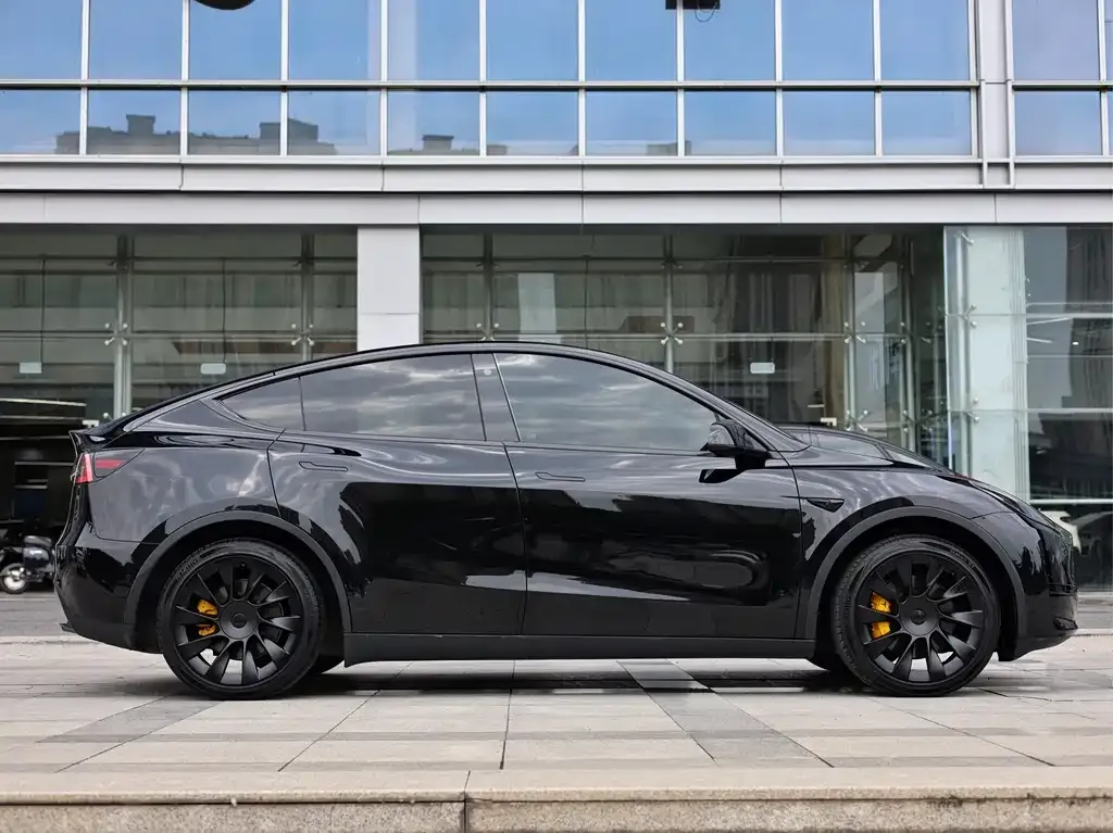 Tesla Model Y — фото 10