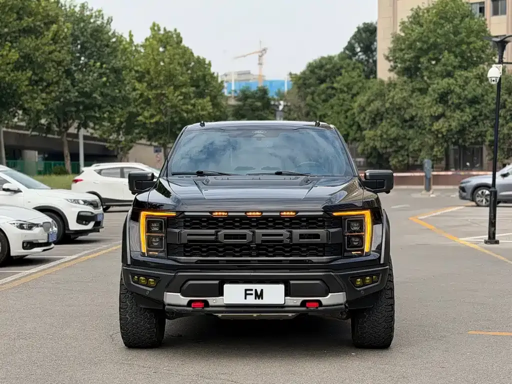 Ford F-150 Raptor — фото 1
