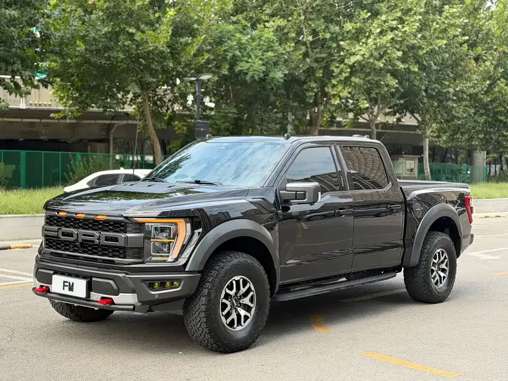 Ford F-150 Raptor — фото 9