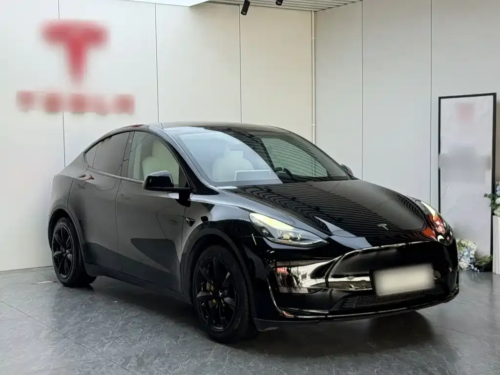 Tesla Model Y — фото 10