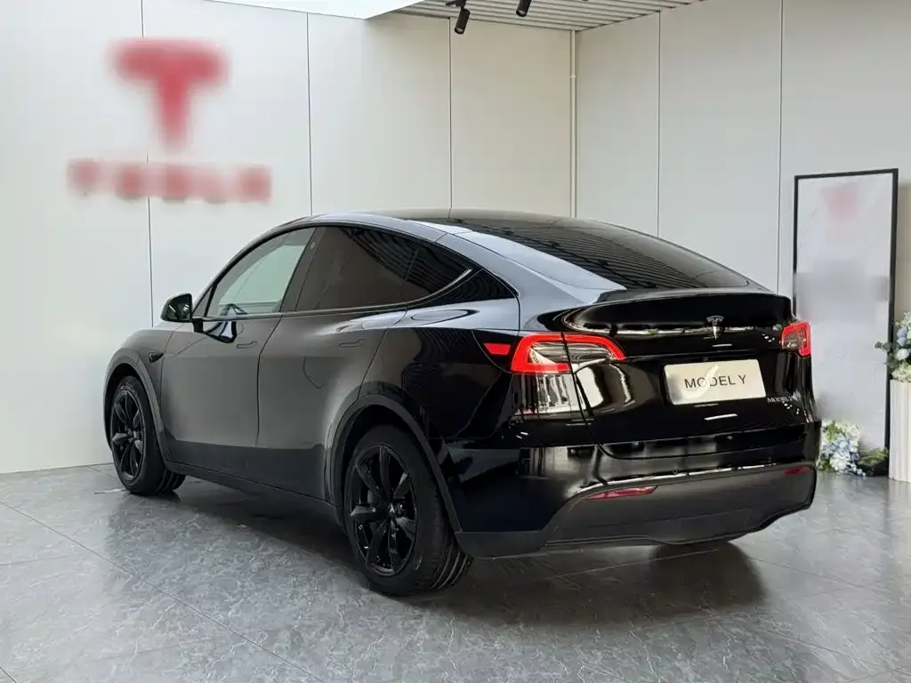 Tesla Model Y — фото 9