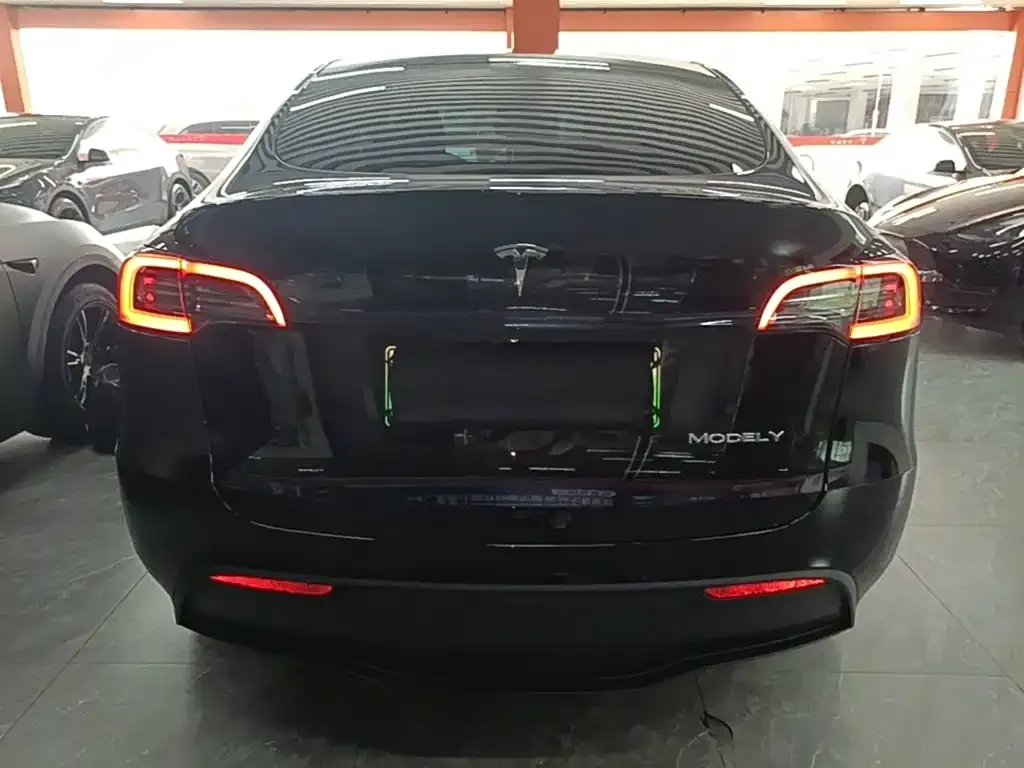 Tesla Model Y — фото 5