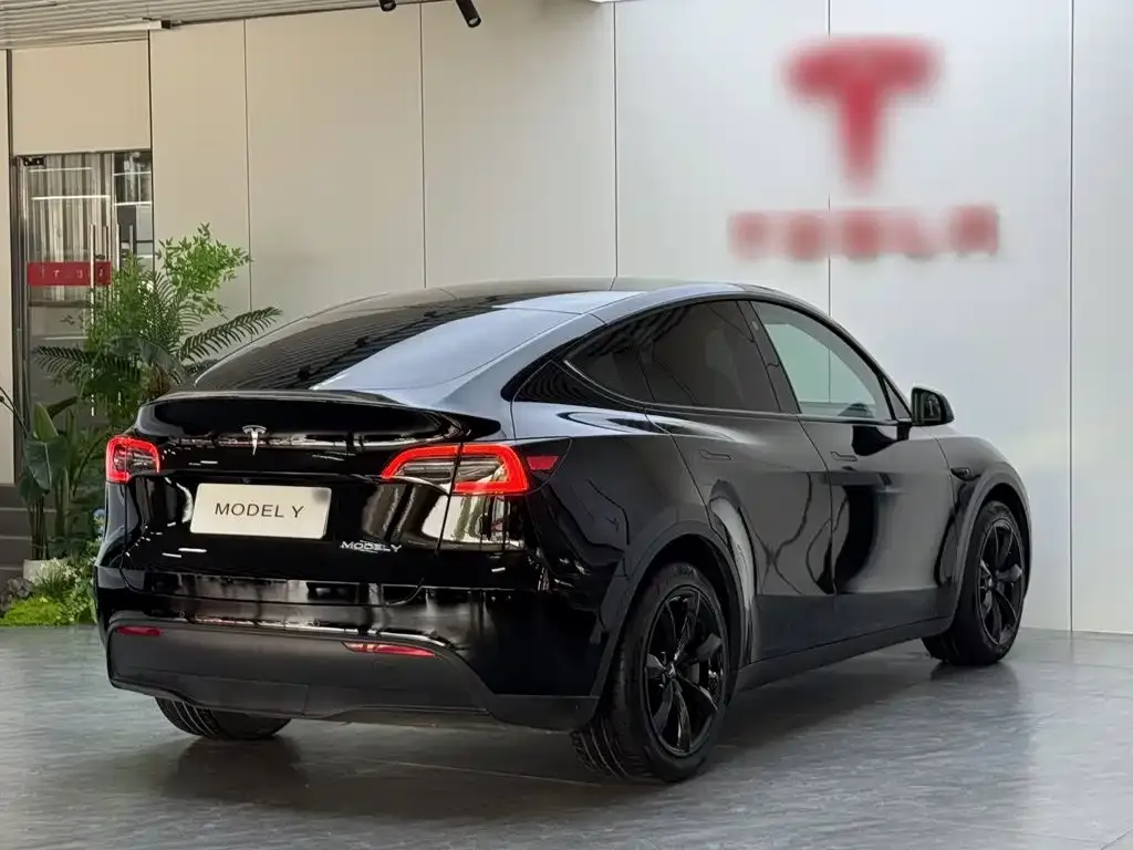 Tesla Model Y — фото 8