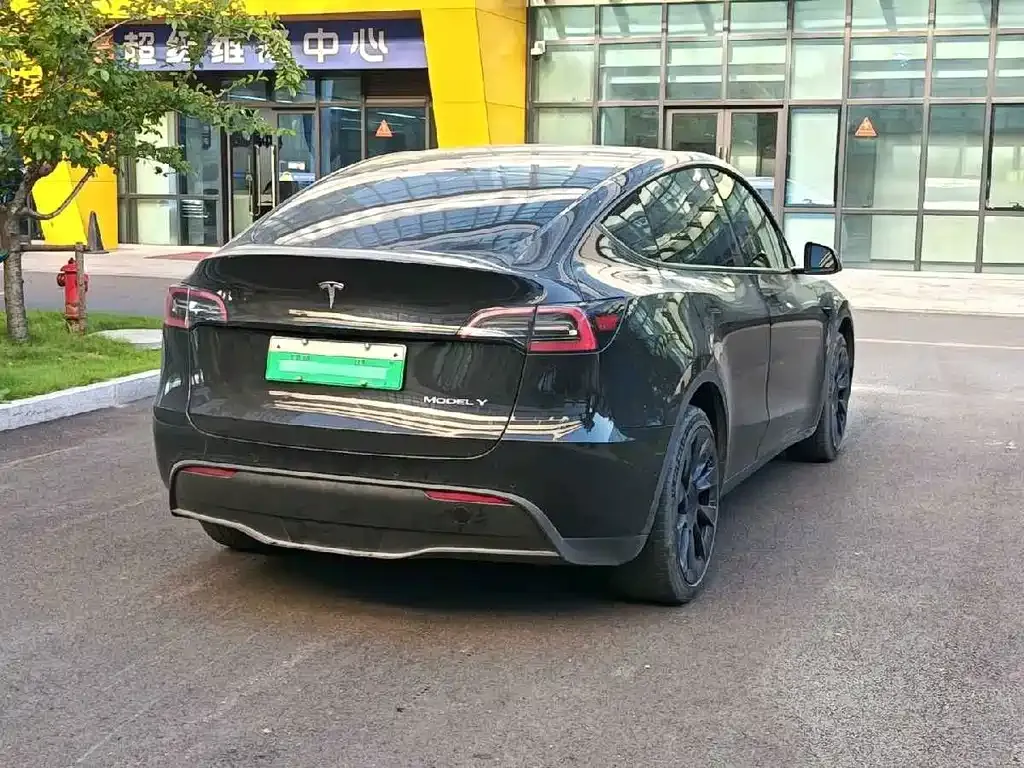 Tesla Model Y — фото 8