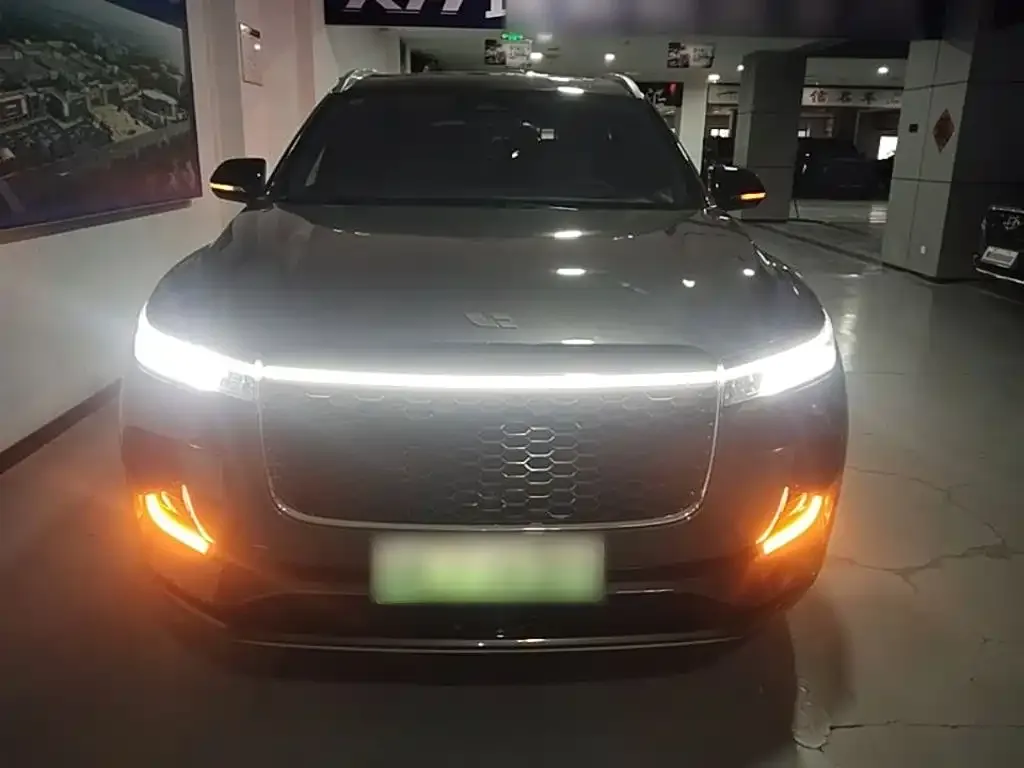 Li Auto ONE — фото 10