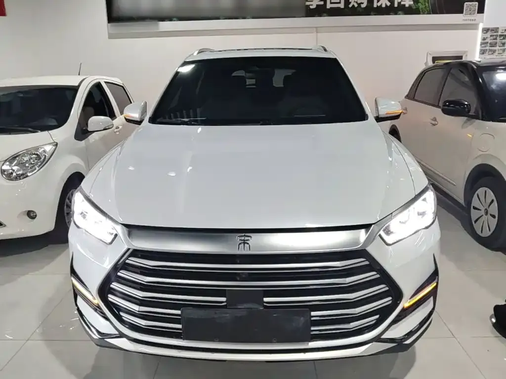 BYD Pro New Energy — фото 4