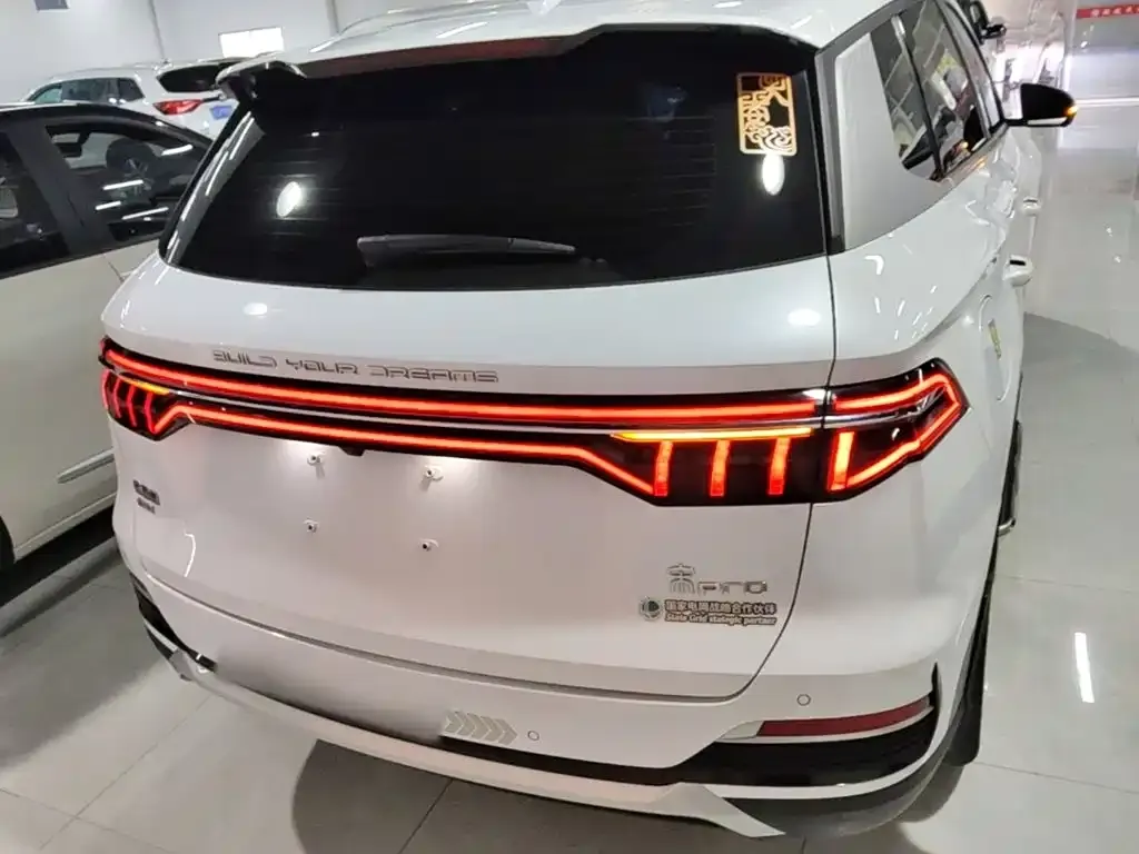 BYD Pro New Energy — фото 10