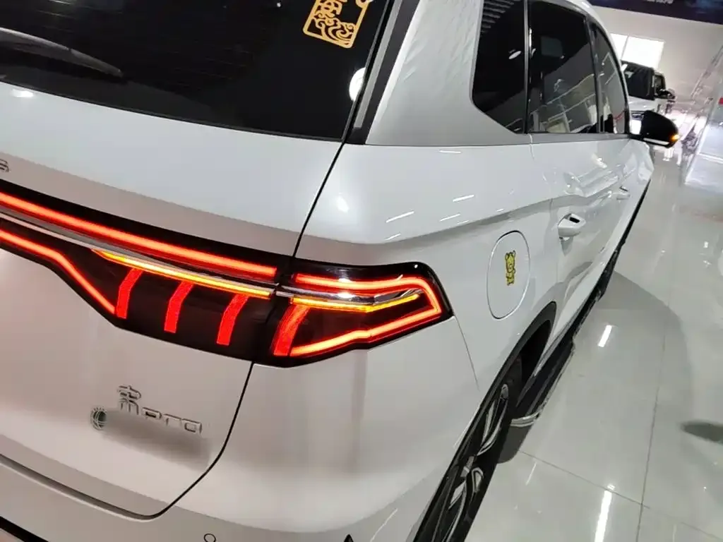 BYD Pro New Energy — фото 9