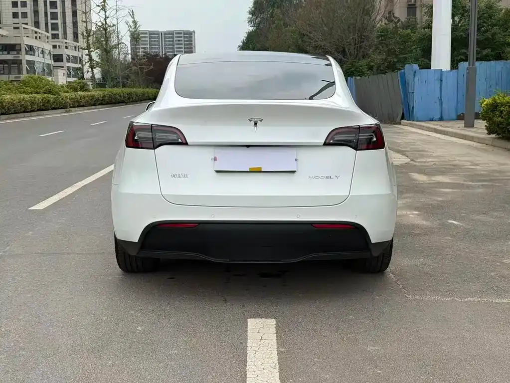 Tesla Model Y — фото 5