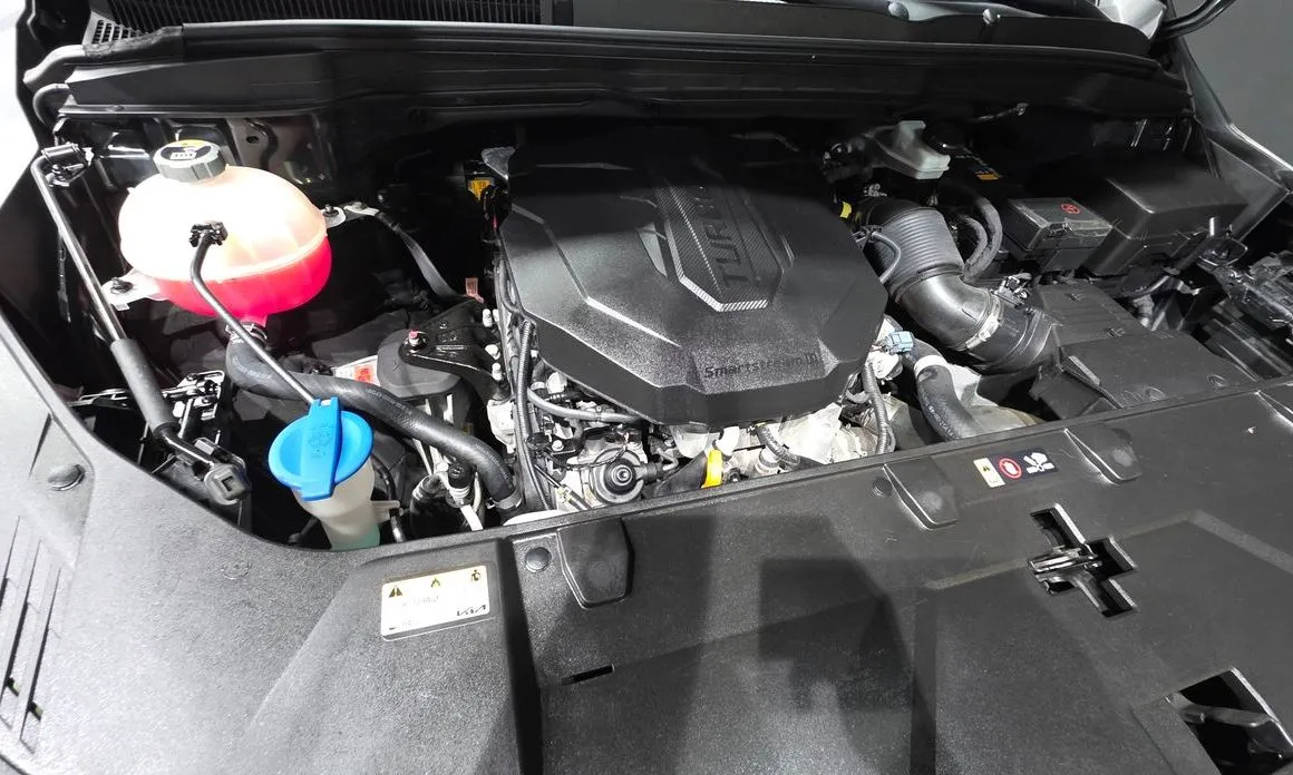 Kia Carnival — фото 10