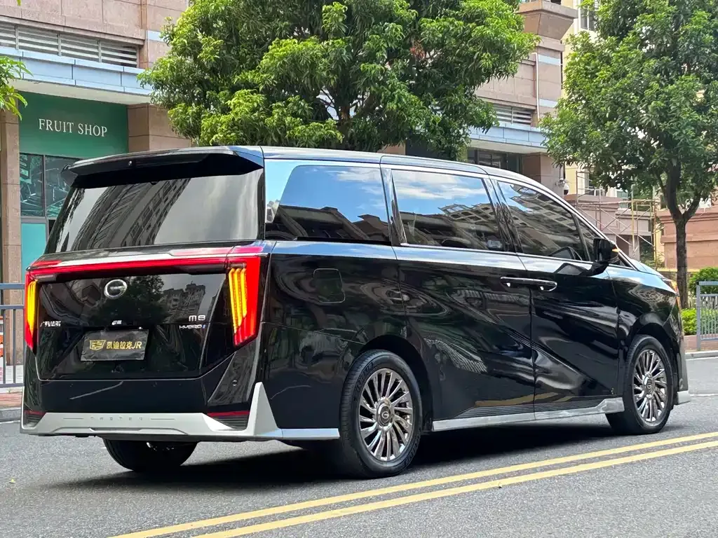 GAC Motor Trumpchi M8 — фото 10