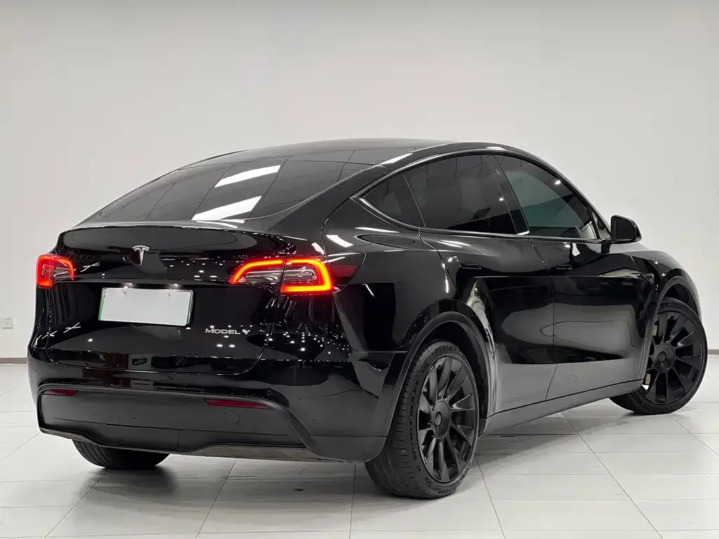 Tesla Model Y — фото 9