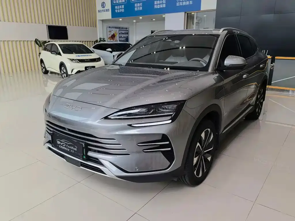 BYD PLUS New Energy — фото 1