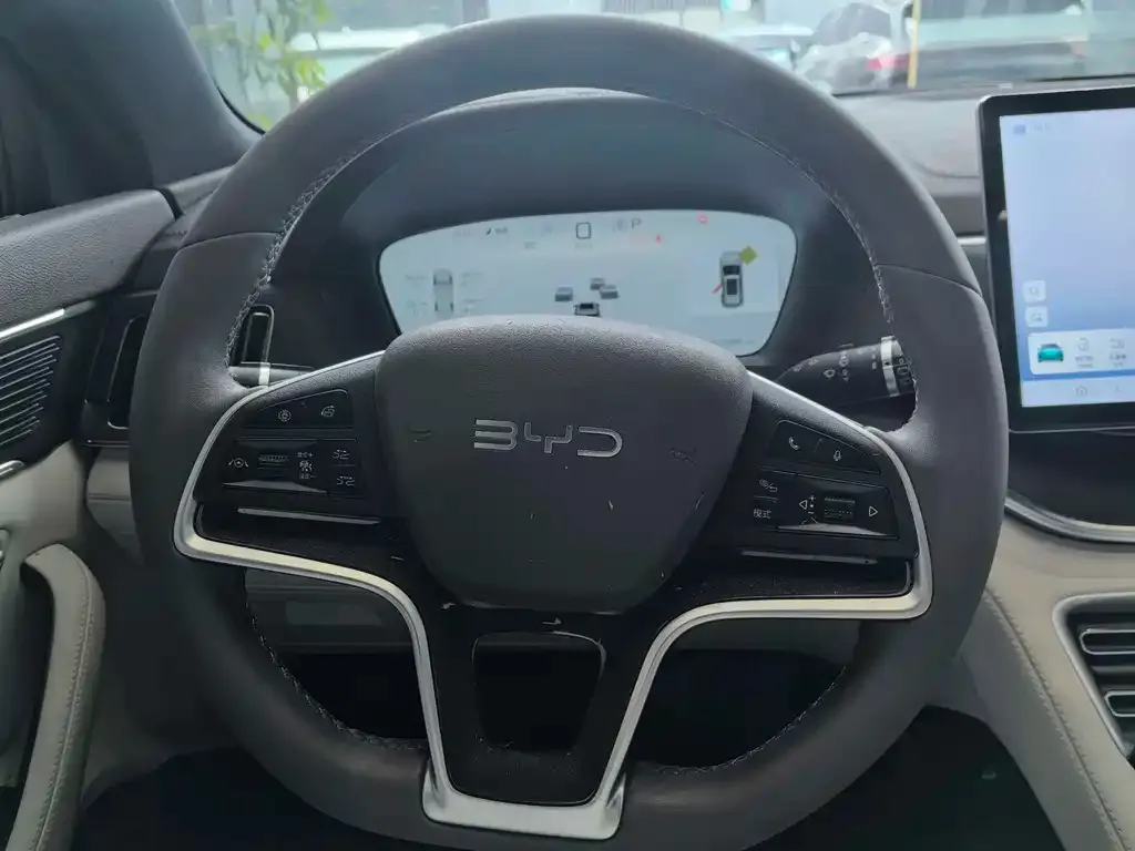 BYD PLUS New Energy — фото 2