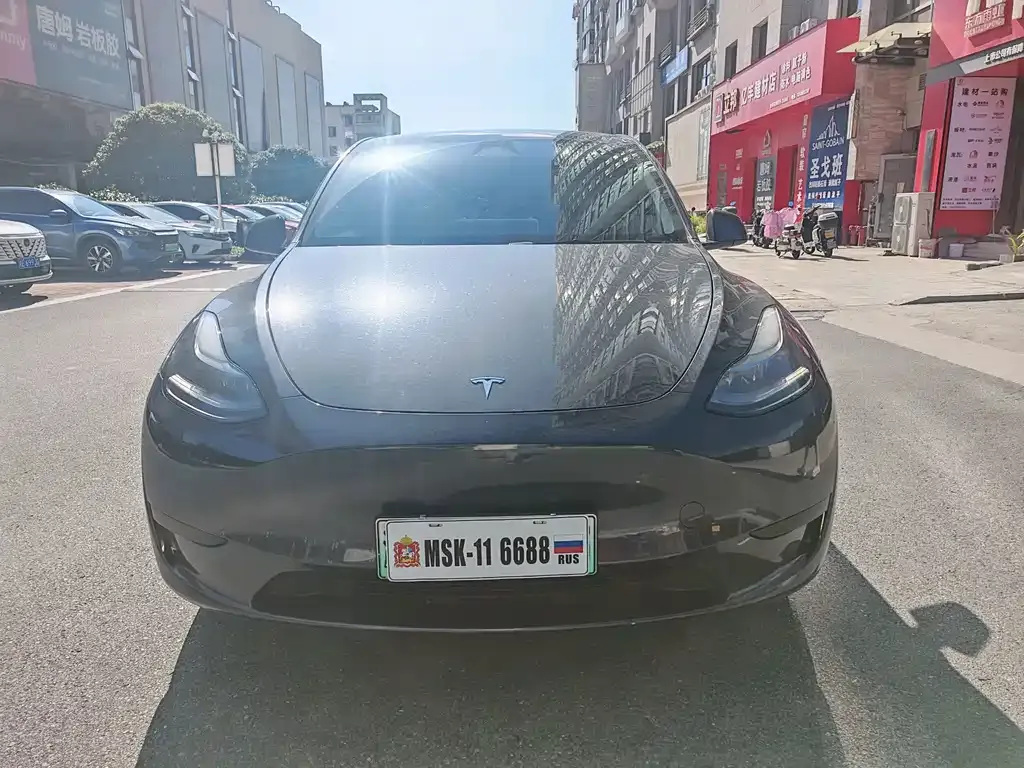 Tesla Model Y — фото 1