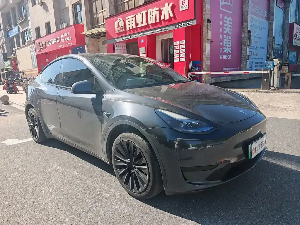 Tesla Model Y — фото 2