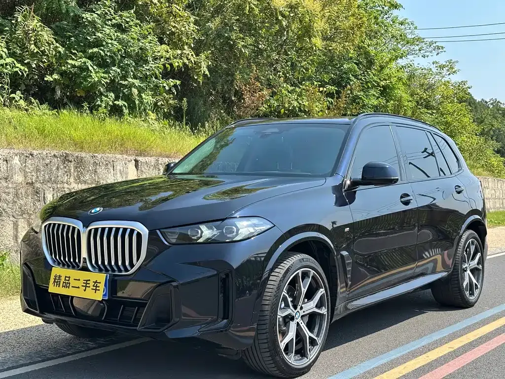 BMW X5 — фото 1