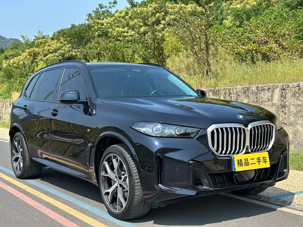 BMW X5 — фото 9