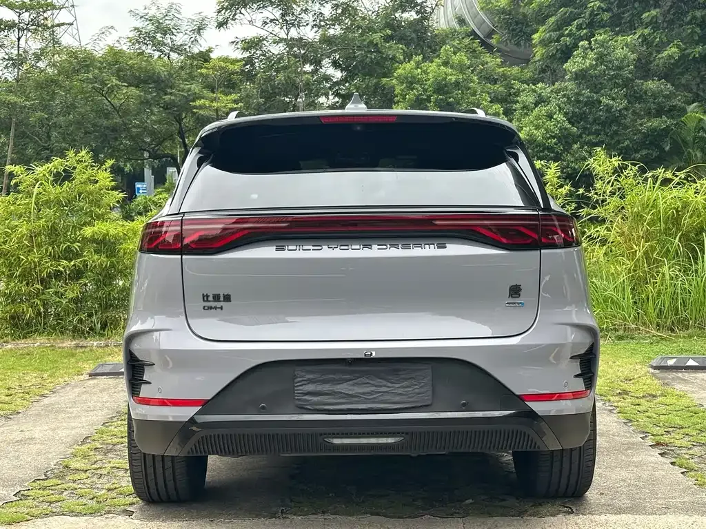 BYD Tang New Energy — фото 10