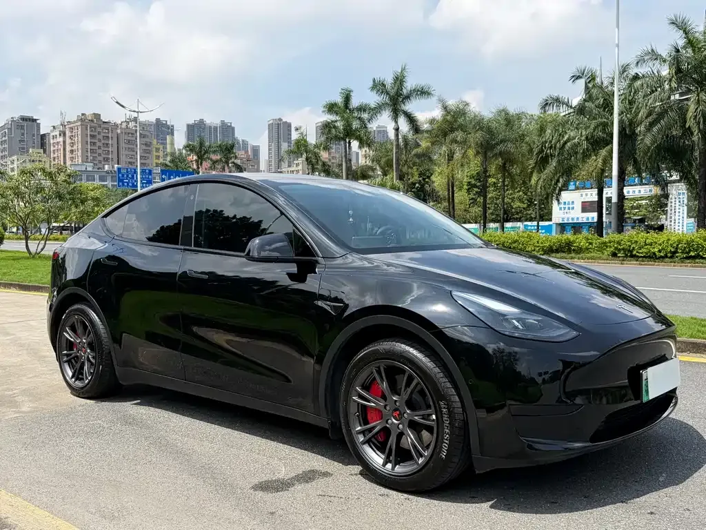 Tesla Model Y — фото 9