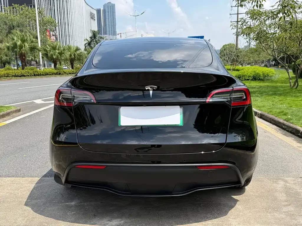Tesla Model Y — фото 8
