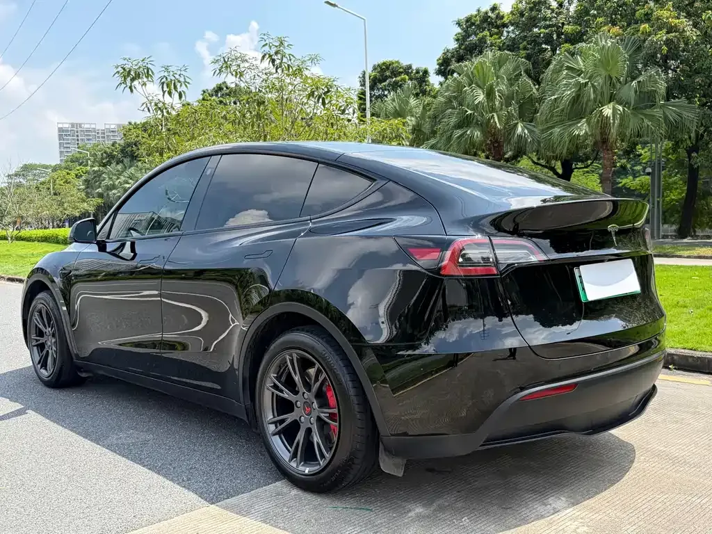Tesla Model Y — фото 5