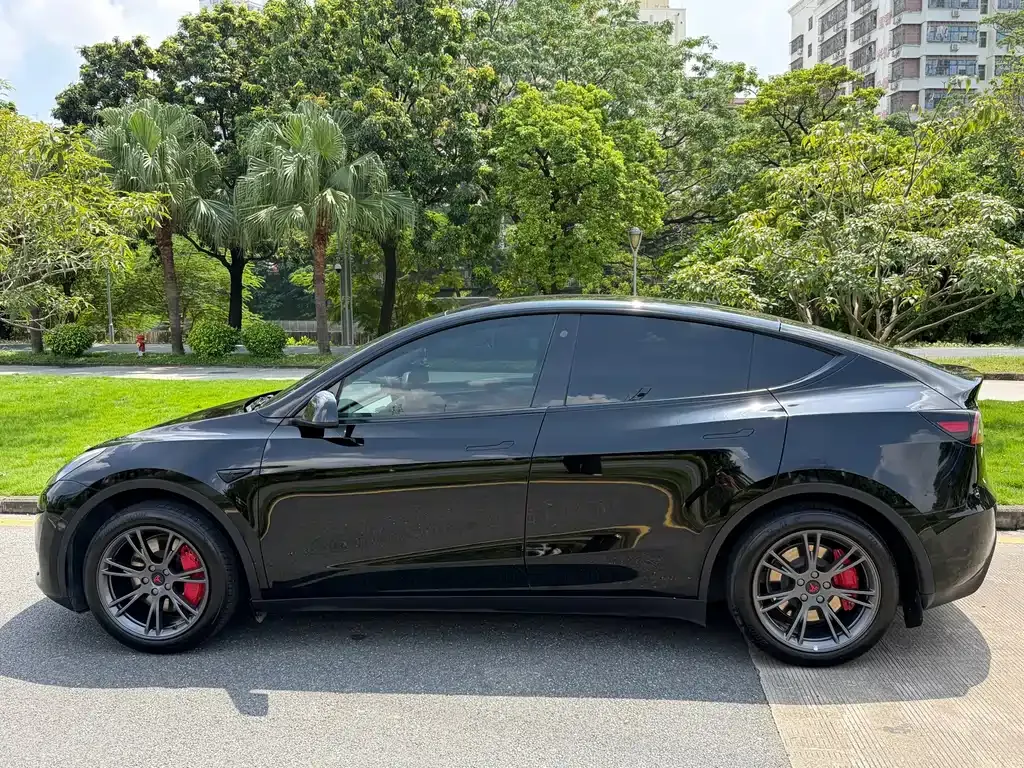 Tesla Model Y — фото 2