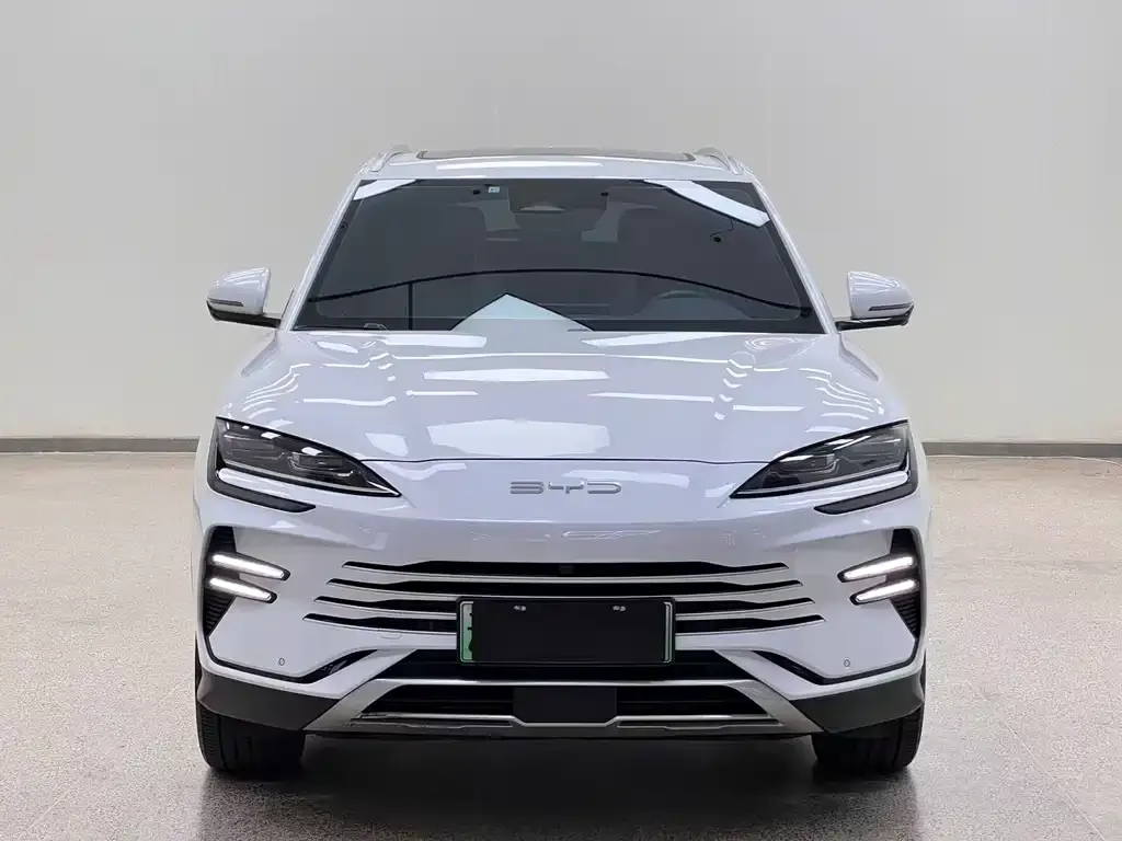 BYD PLUS New Energy — фото 4