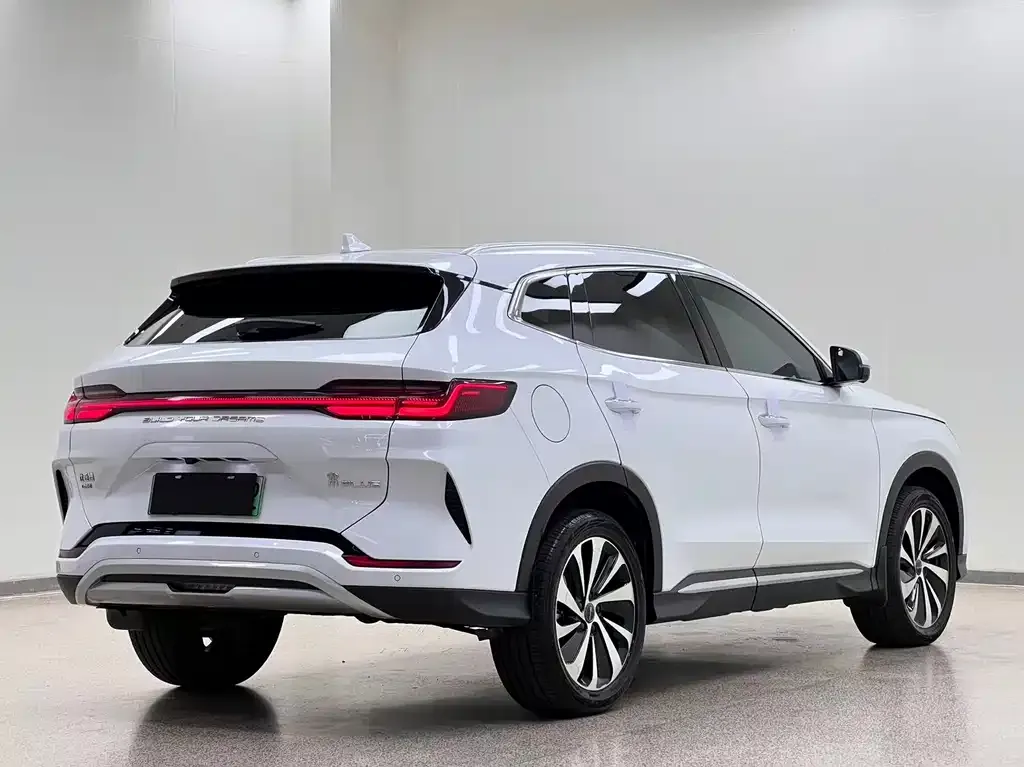 BYD PLUS New Energy — фото 10