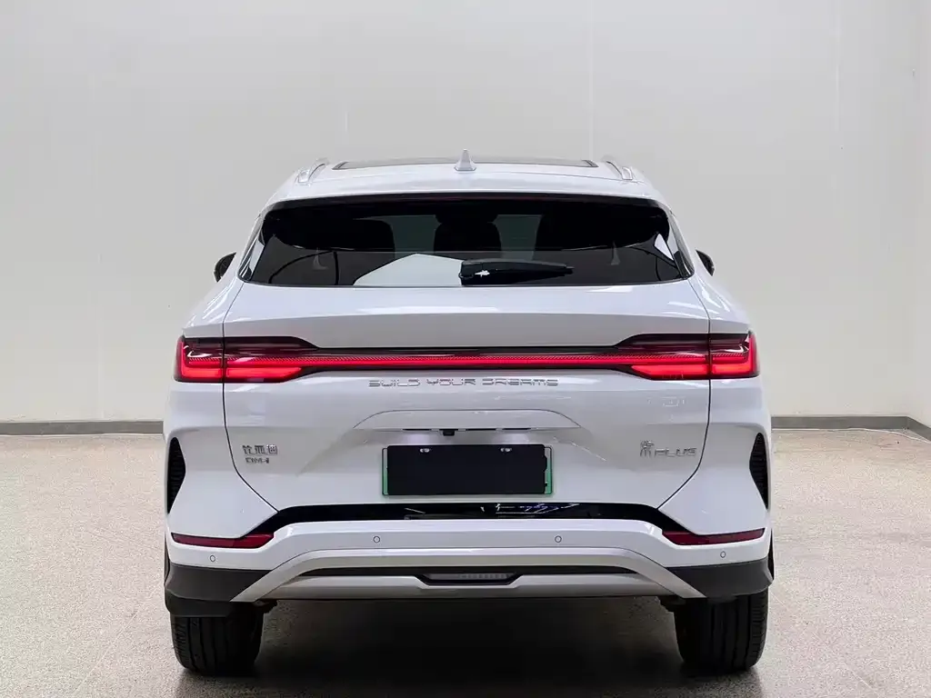 BYD PLUS New Energy — фото 2