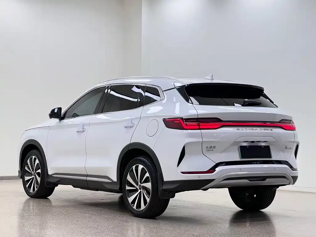 BYD PLUS New Energy — фото 9