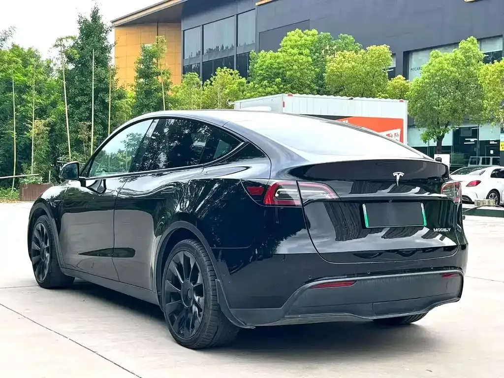 Tesla Model Y — фото 9