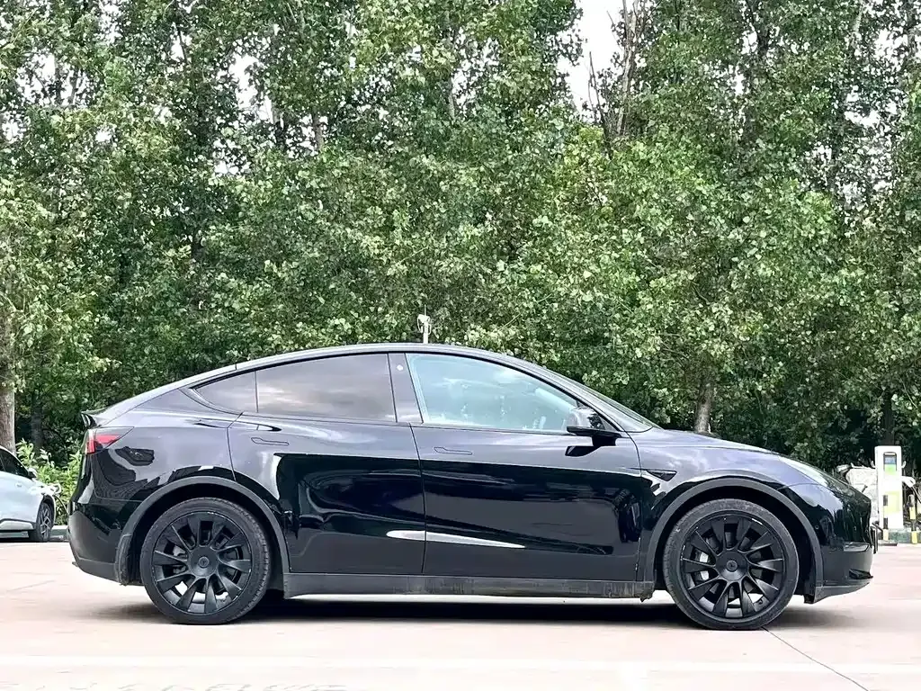 Tesla Model Y — фото 8