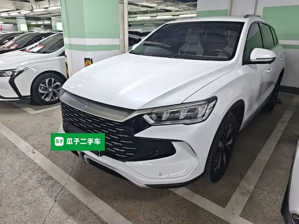 BYD Pro New Energy — фото 4