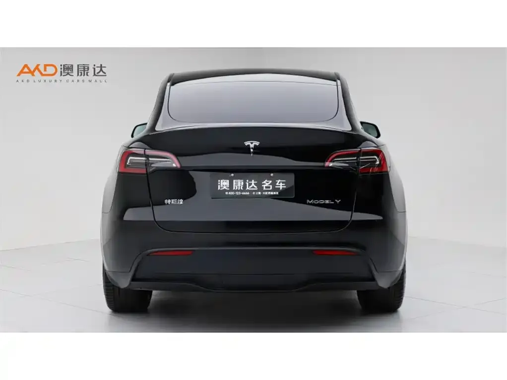 Tesla Model Y — фото 2