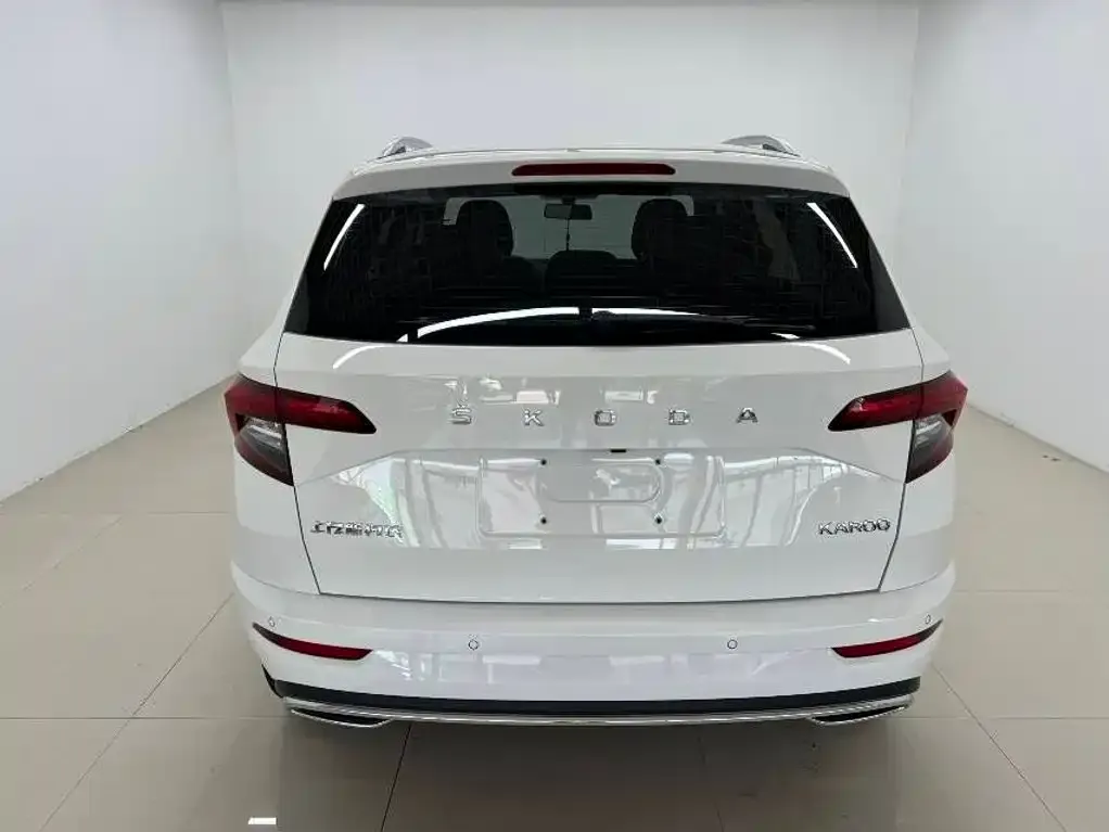 Skoda Karoq — фото 9