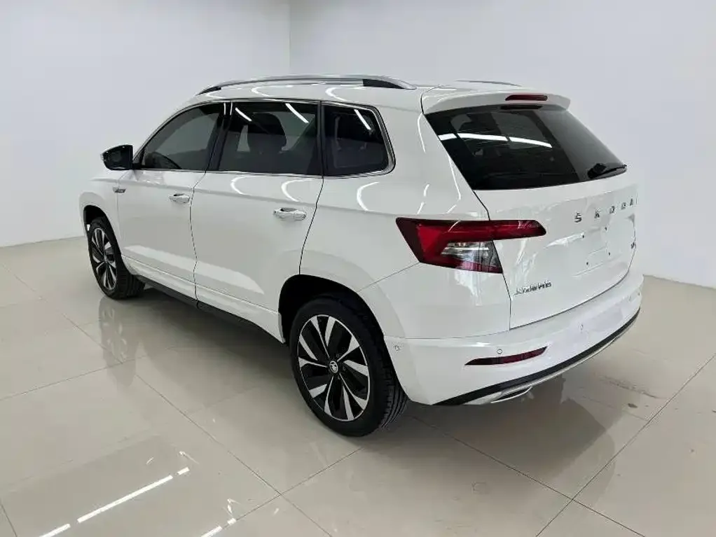 Skoda Karoq — фото 7