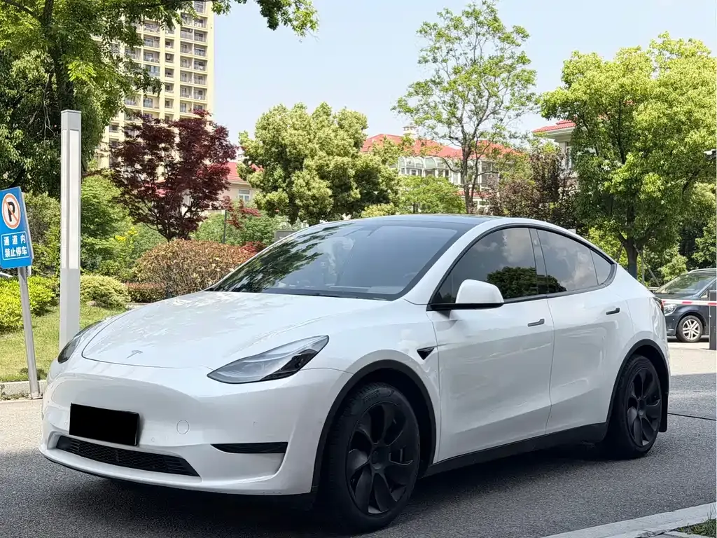 Tesla Model Y — фото 1