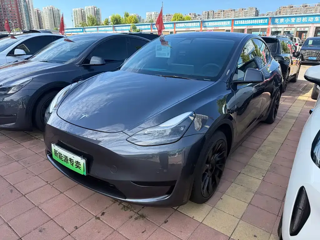 Tesla Model Y — фото 1